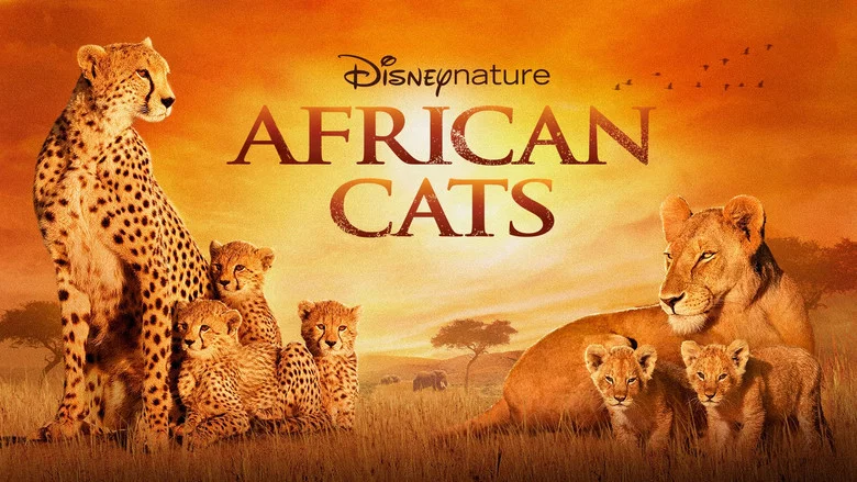 African Cats still