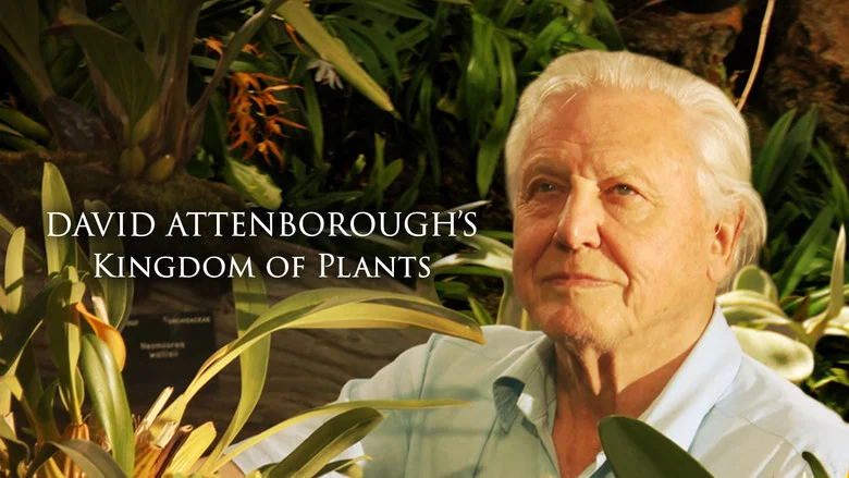 Kingdom of Plants still