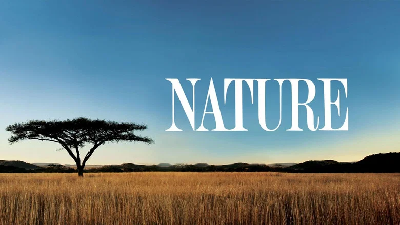 Nature still