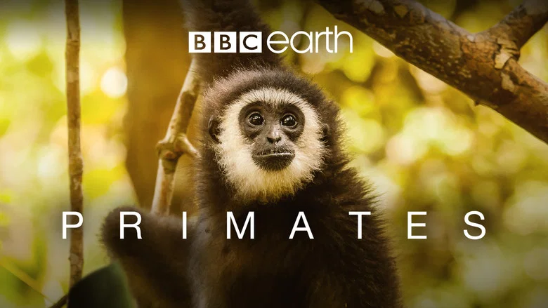 Primates still