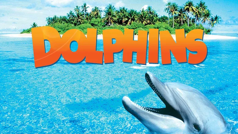 Dolphins still