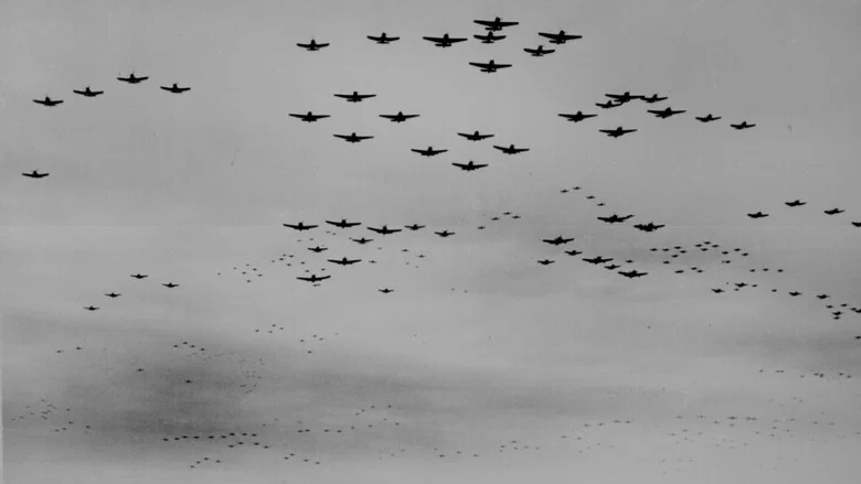 Clash of Wings still