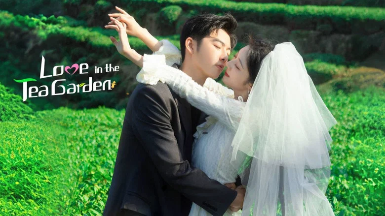 Love in the Tea Garden still