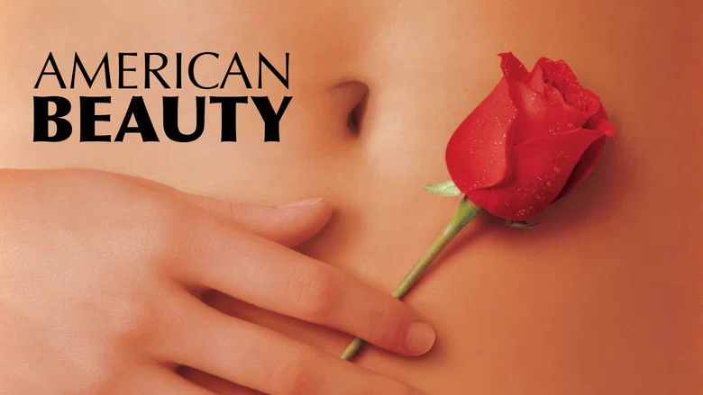 American Beauty still