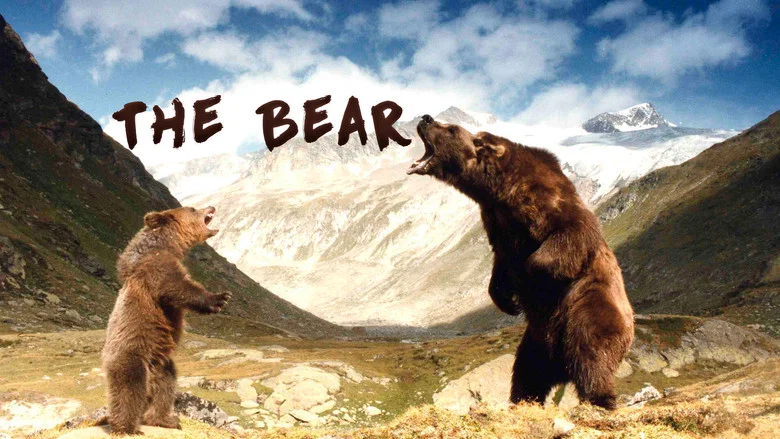 The Bear still