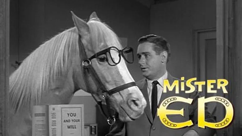 Mister Ed still