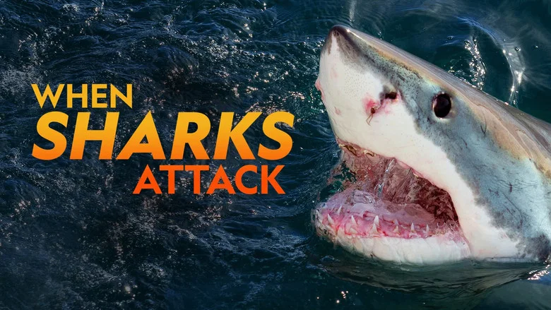 When Sharks Attack still