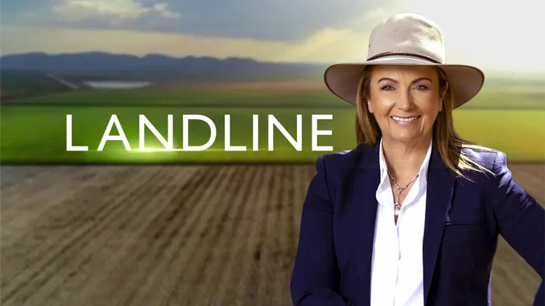 Landline still