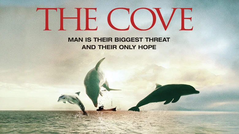 The Cove still