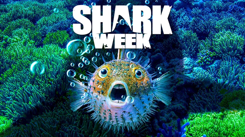 Shark Week still