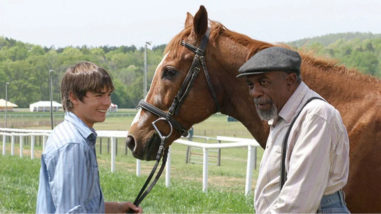 The Derby Stallion still