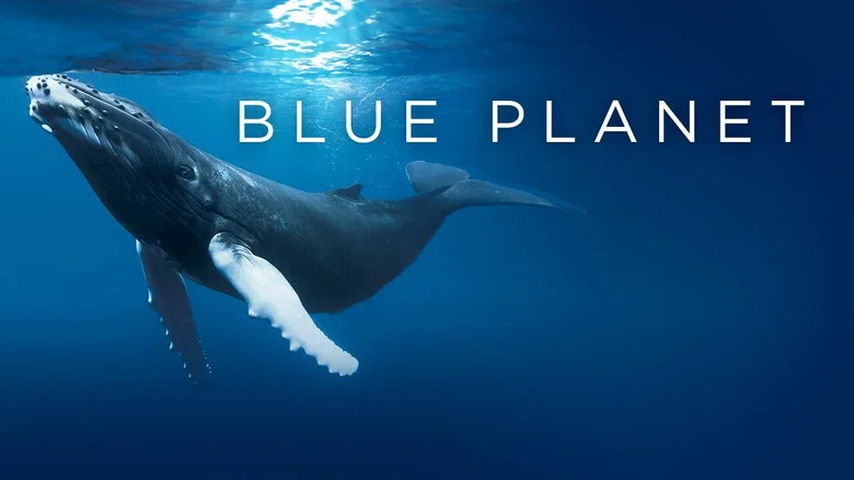 The Blue Planet still