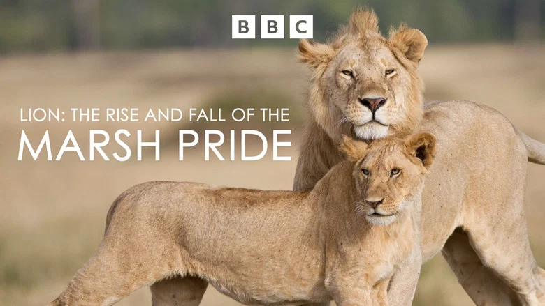 Lion: The Rise and Fall of the Marsh Pride still